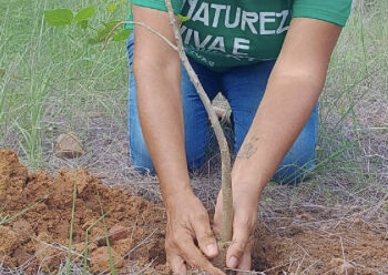 Projeto do Ceres resgata espécies nativas da Caatinga