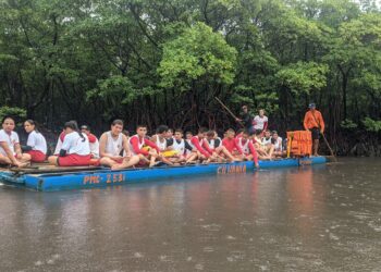 Fim de semana é marcado por recuperação de mangue na Grande Natal