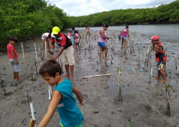 Neste sábado (20): Projeto ‘Se Essa Rua Fosse Minha’ restaura mangue com plantio de mudas e coleta de lixo na Grande Natal