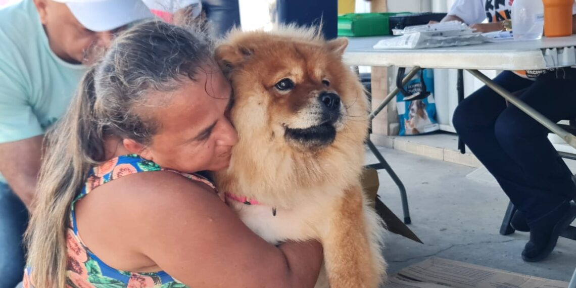 Prefeitura de Parnamirim realiza campanha de vacinação antirrábica neste sábado e imuniza 595 animais