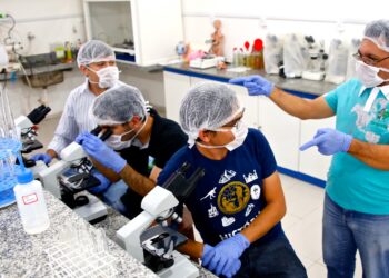 UFRN: graduação de excelência