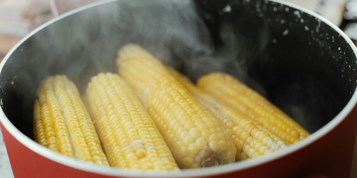 São João: Professora de Nutrição da UnP explica os benefícios do milho verde para a saúde