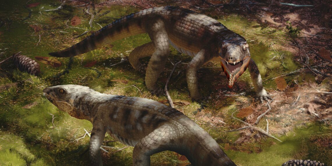 Professora da UFRN participa de descoberta de nova espécie de crocodilo