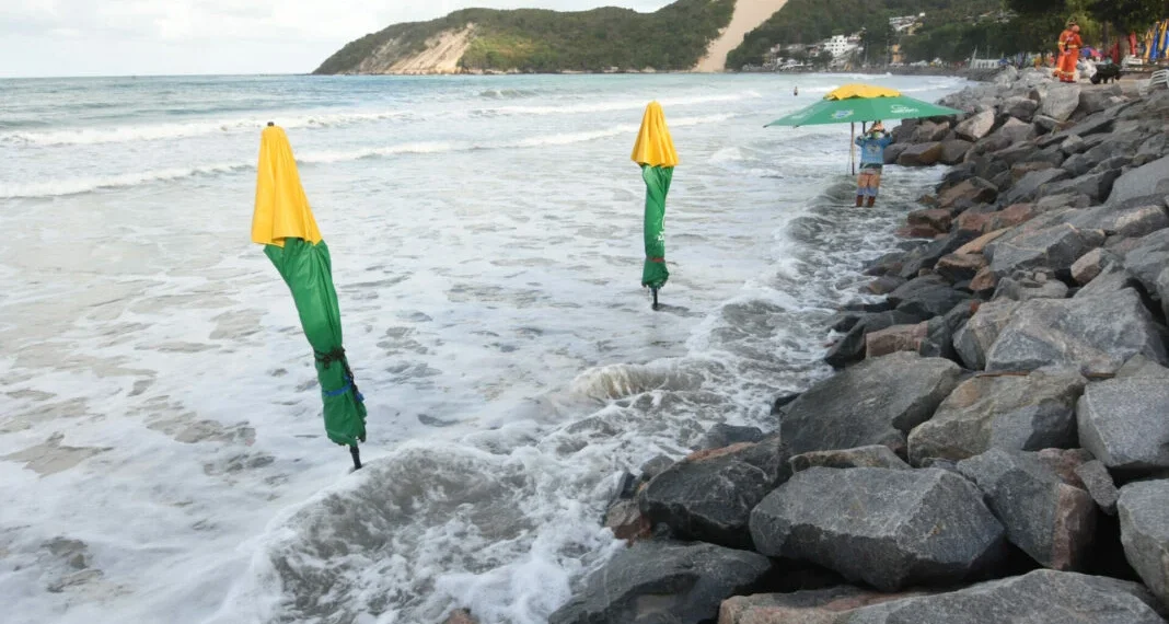 Trade defende agilidade de engorda e Semurb aponta esforço do Idema para liberar licença