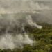 Força Nacional reforça equipe de combate a incêndios no Pantanal