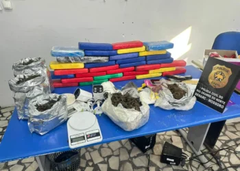 Operação prende quatro pessoas por tráfico e apreende mais de 20kg de drogas em Mossoró