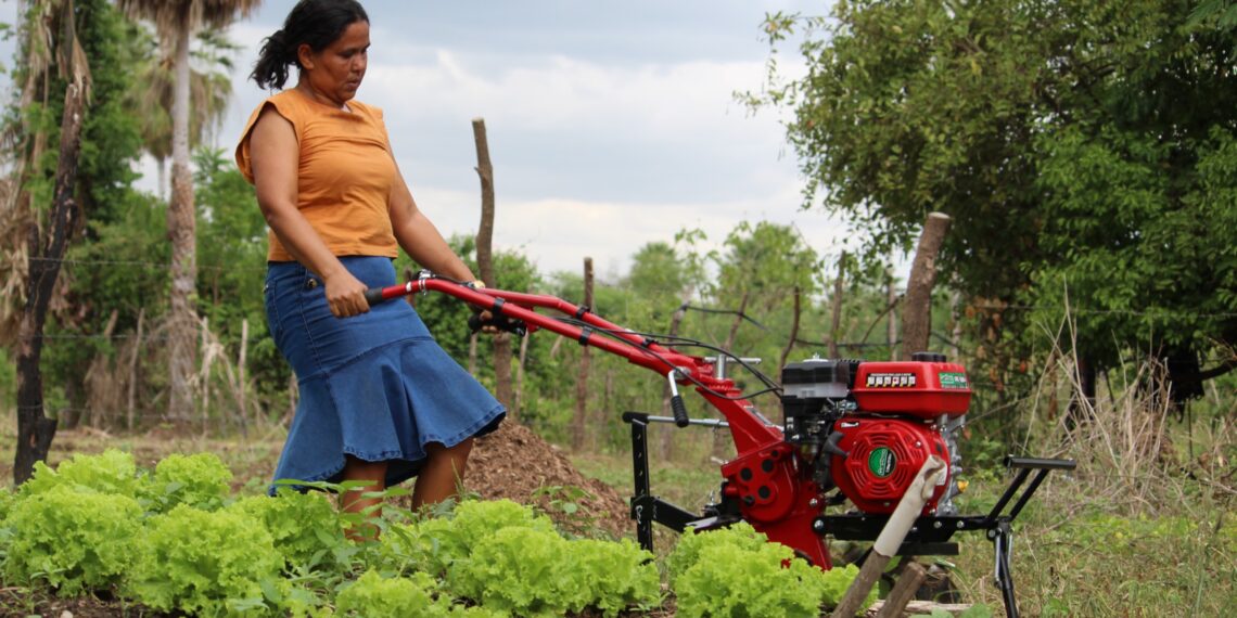 Plano Safra da Agricultura Familiar 2024/2025 será lançado no RN