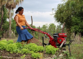 Plano Safra da Agricultura Familiar 2024/2025 será lançado no RN