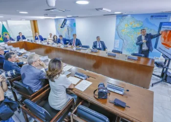 Chefes dos Três Poderes discutem aumento de penas a crimes ambientais