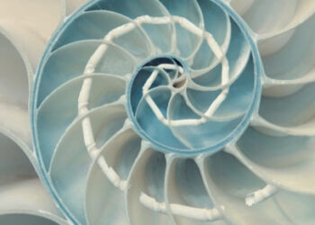 Uma sala para a popularização da ciência