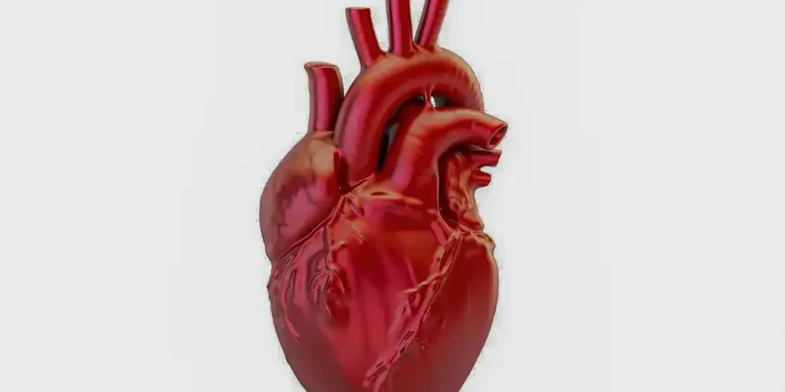 Doenças cardiovasculares matam 400 mil brasileiros por ano