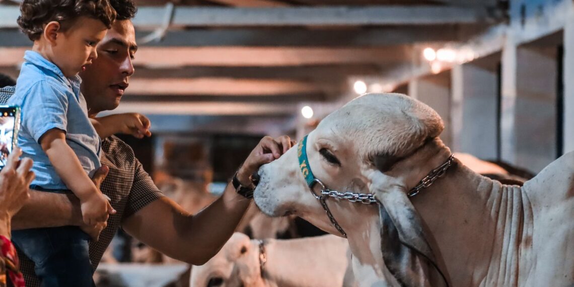 62ª Festa do Boi recebe mais de 500 mil visitantes e aquece a economia de Parnamirim