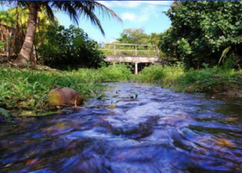 Proteção ambiental