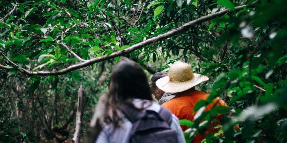 Parque Mata da Pipa está entre os 100 destinos verdes do mundo