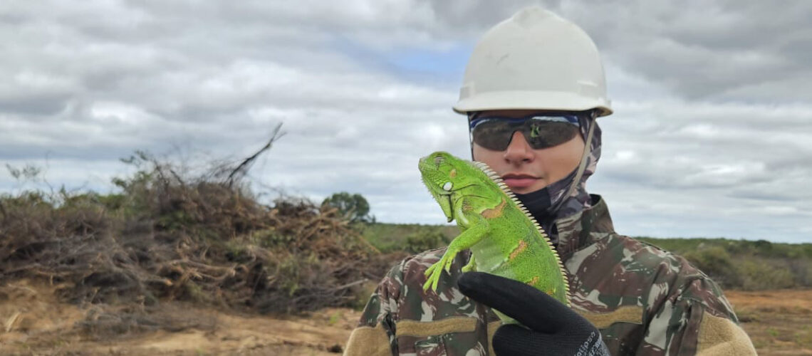 Ação ambiental no Complexo Hidrossocial Oiticica resgata mais de 1.500 animais