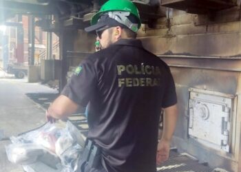 PF incinera quase meia tonelada de drogas no RN