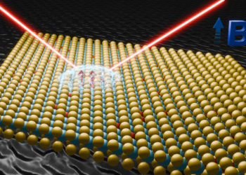 Pesquisa da UFRN revela efeito magnético com potencial tecnológico em materiais 2D