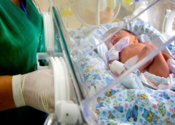 Mais comodidade, mais acesso – Plataforma facilita monitoramento neurológico de prematuros