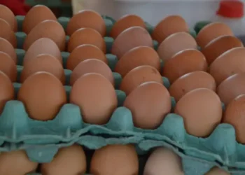 Com bandeja de ovos a quase R$ 30, preço deve continuar alto até o fim da Quaresma no RN: “É um ciclo anual”