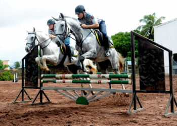 Temporada hípica potiguar está de volta depois de dezesseis anos