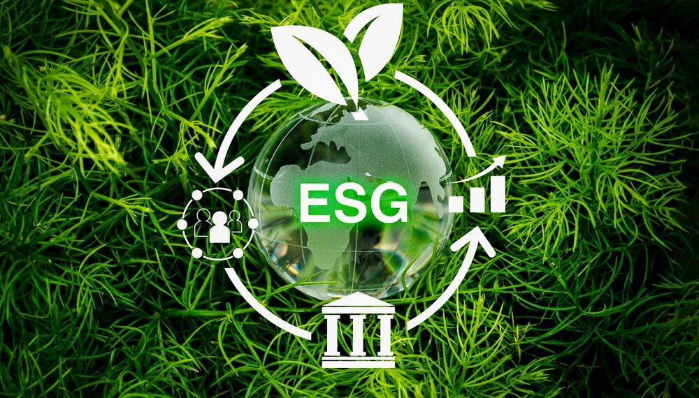 Tendência 2025: sustentabilidade no mercado de limpeza