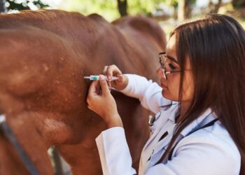 UnP Vet promete movimentar setor Agropet em mais uma edição