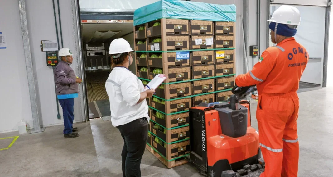 Exportações do RN crescem 14,5% no 1º trimestre e somam US$ 259,9 mi