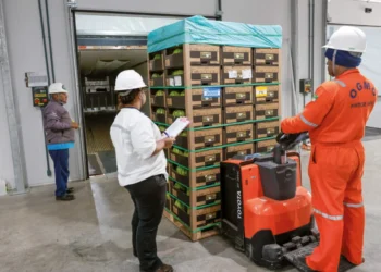 Exportações do RN crescem 14,5% no 1º trimestre e somam US$ 259,9 mi