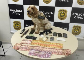 Polícia Civil deflagra “Operação Litoral Silencioso” e prende suspeitos por tráfico