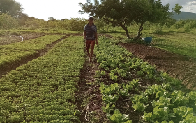 Rio Grande do Norte é o segundo estado do país que mais executou projetos produtivos do Fomento Rural