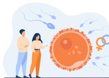 Quer engravidar? Anemia silenciosa pode estar sabotando sua fertilidade