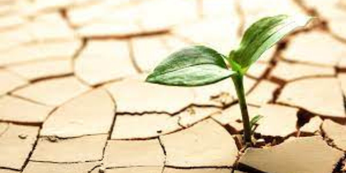 Fortalecendo laços e renovando esperanças: reflexões do grupo de mães no encerramento de ciclos