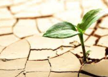 Fortalecendo laços e renovando esperanças: reflexões do grupo de mães no encerramento de ciclos