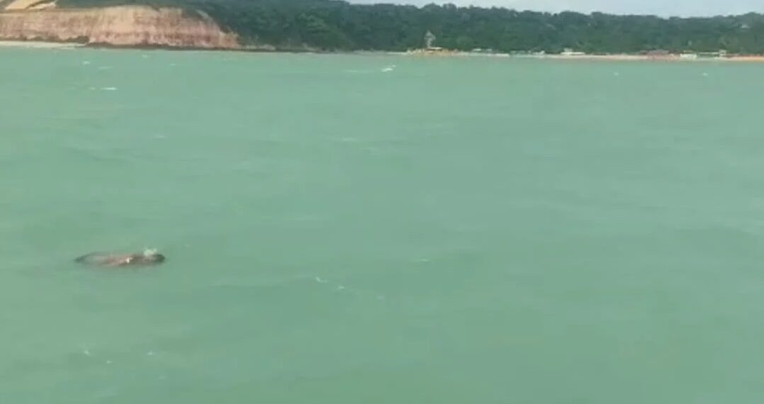 Bombeiros resgatam corpo de turista levado pela correnteza na Praia do Amor