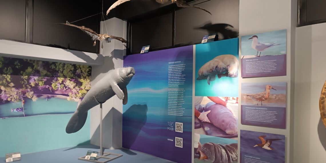 Museu de Ciências Morfológicas é espaço de fomento de conhecimento infanto-juvenil