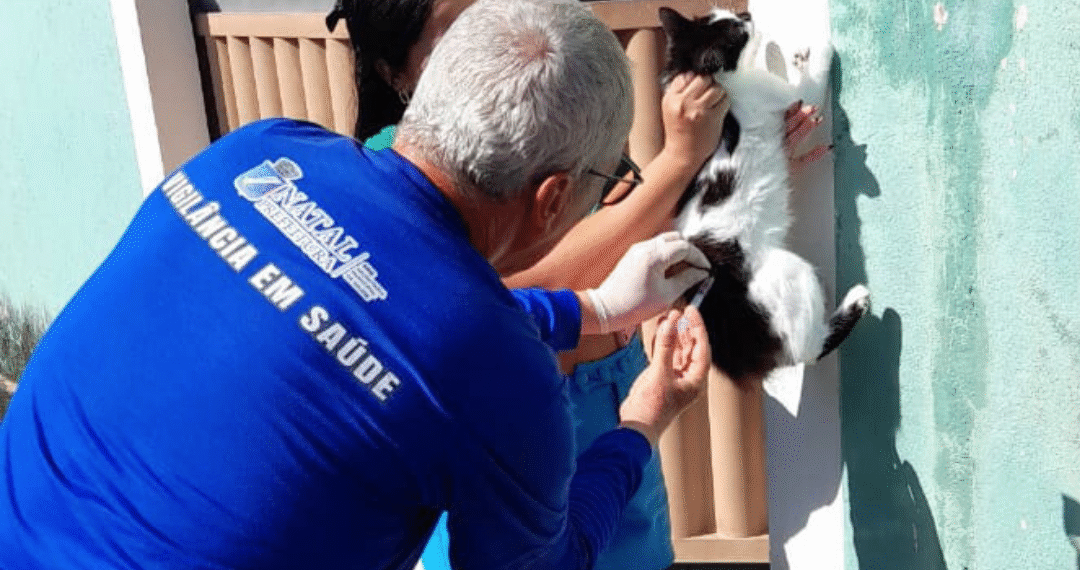 Campanha Antirrábica 2025: confira os locais de vacinação deste sábado (6)