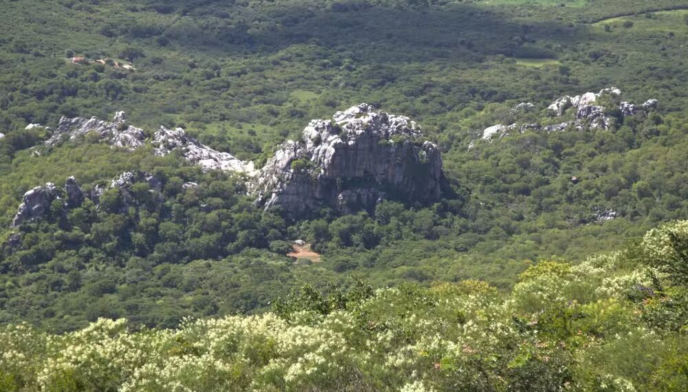 Unidades de Conservação do RN poderão ser adotadas; entenda como funciona