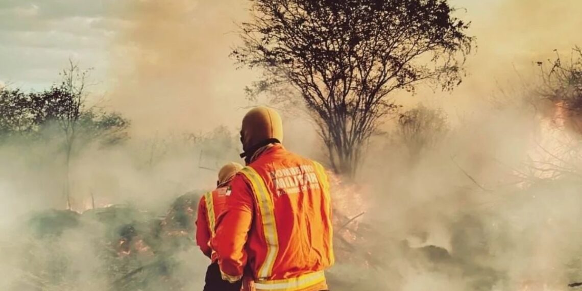 Incêndio em vegetação coloca casas em risco na região do Oeste potiguar