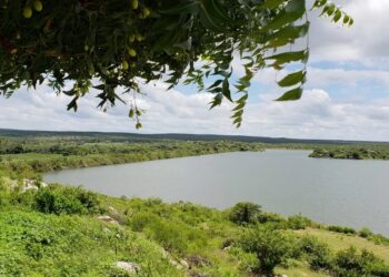 Governo do RN restringe uso de água no Canal do Pataxó após seca atingir 83% do estado