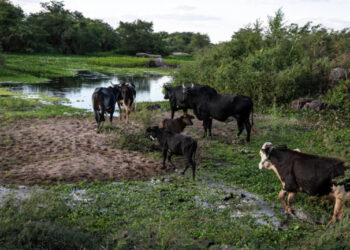 Governo decreta emergência e adota medidas para atenuar efeitos da seca no RN