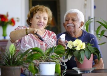 Movimentos da longevidade