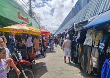 Alecrim reforça tradição do comércio de rua com abertura aos domingos