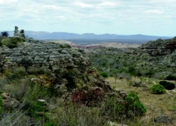 O subsolo do RN entra na corrida global por minerais estratégicos