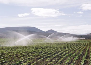 O oeste do RN pode se tornar nova fronteira agrícola