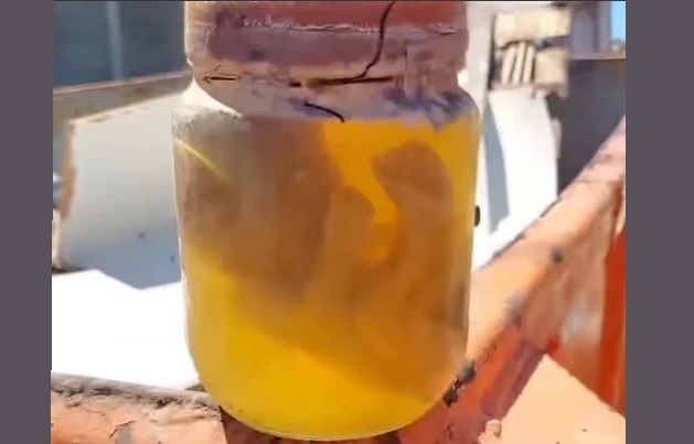 Feto é encontrado em caçamba de lixo em Mãe Luíza