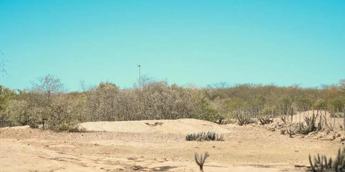 Alívio nos reservatórios não muda a lógica de sobrevivência hídrica no interior