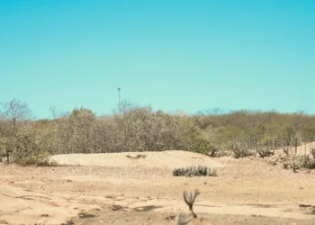 Alívio nos reservatórios não muda a lógica de sobrevivência hídrica no interior