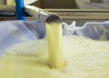 Construção sustentável – Tijolo produzido a partir da manipueira é um marco na engenharia civil brasileira