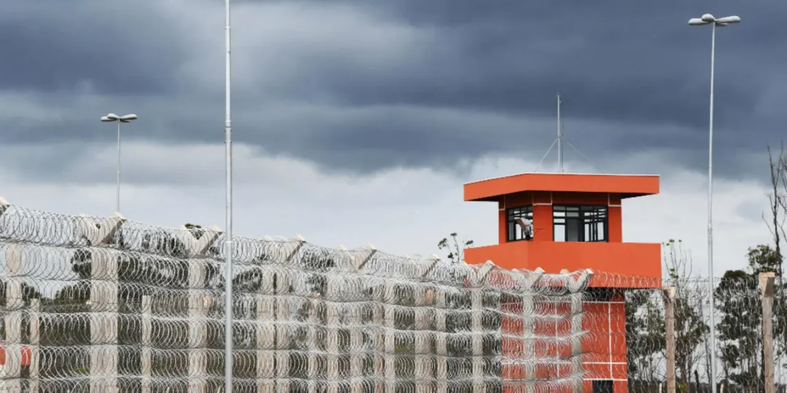 O sistema prisional que reproduz o crime