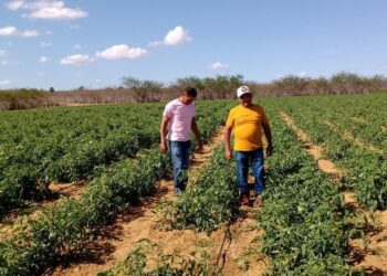 Reforma agrária atendeu mais de 11 mil famílias no RN em 2025